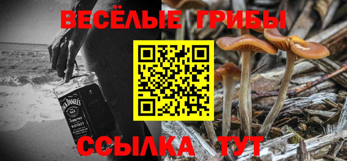 где можно купить наркотик  Вход с VPN  Берёзовский  Псилоцибиновые грибы мухоморы 