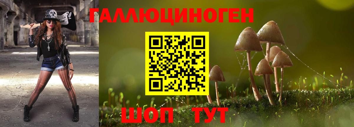 Псилоцибиновые грибы прущие грибы Берёзовский