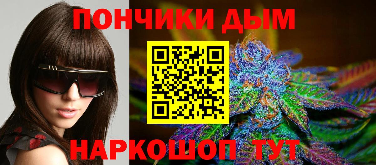 Конопля планчик Берёзовский